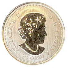 2023 Canada Nickel Quarter Specimen Caribou - 25 Cents