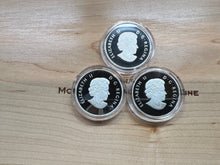 2013 Canada Fine Silver $10 Ten Dollars-Ducks of Canada-3-Coin Set