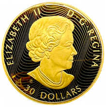 2019 Fine Silver 30 Dollars coin-Predator and Prey Orca and Sea Lions