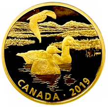 2019 Fine Silver 30 Dollars coin-Predator and Prey Snowy Owl and Greater White-Fronted Geese