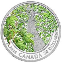 2014 20 Dollars Fine Silver Coin-Canadian Maple Leaf Canopy-Spring Splendour
