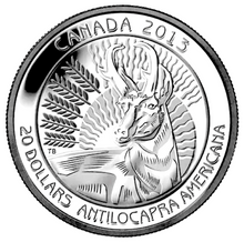 2013 20 Dollars Fine Silver Coin-Untamed Canada-Pronghorn