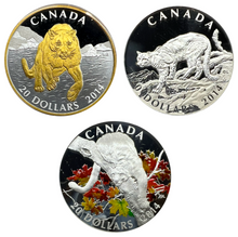 2014 Canada 20 Dollars Fine Silver, The Cougar 3 Coin Set