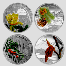 2015 20$ Fine Silver Coin-Forests of Canada-Boreal Balsam popular