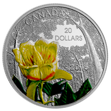 2015 20$ Fine Silver Coin-Forests of Canada-Boreal Balsam popular
