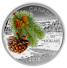 2015 20$ Fine Silver Coin-Forests of Canada-Boreal Balsam popular