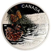 2015 20$ Fine Silver Coin-Forests of Canada-Coast Shore Pine