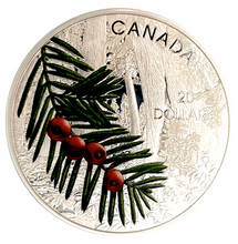 2015 20$ Fine Silver Coin-Forests of Canada-Columbia Yew Tree