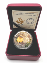 2015 Canada 20 Dollars Fine Silver Coin, Baby Animals-Burrowing Owl
