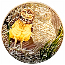 2015 Canada 20 Dollars Fine Silver Coin, Baby Animals-Burrowing Owl