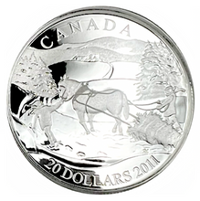 2011 20 Dollars Sterling Silver Coin, Winter Scene