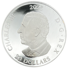 2025 Canada 20 Dollars Fine Silver Coin, Avro Arrow