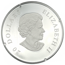 2011 Canada 20 Dollars Fine Silver Coin, Crystal Snowflake Series-Hyacinth