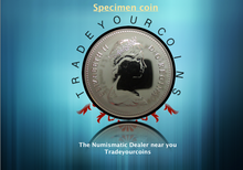 1979 Canada Five Cents Specimen Nickel Beaver