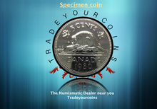1980 Canada Five Cents Specimen Nickel Beaver