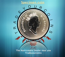 2000 Canada Five Cents Specimen Nickel Beaver