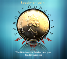 2001 Canada Five Cents Specimen Nickel Beaver