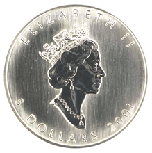 2001 Silver maple Leaf with Color-Autumn