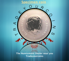 2004 Canada Five Cents Specimen Nickel Beaver