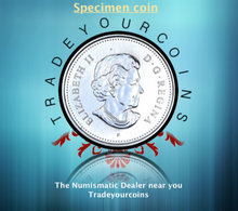 2005 Canada Five Cents Specimen Nickel Beaver