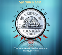 2005 Canada Five Cents Specimen Nickel Beaver