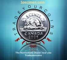 2006 Canada Five Cents Specimen Nickel Beaver