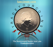 2007 Canada Five Cents Specimen Nickel Beaver