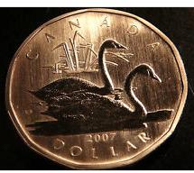 2007 Canada Specimen  Loonie Dollar- Trumpeter Swan