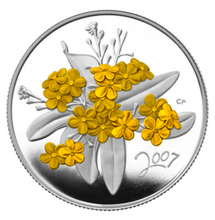 2007 Fifty Cents- Golden Forget-Me-Not