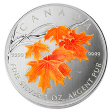 2007 Silver maple Leaf with Color-Sugar Maple