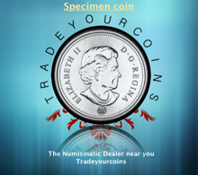 2008 Canada Five Cents Specimen Nickel Beaver