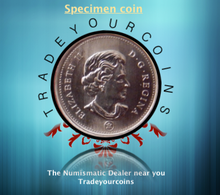 2009 Canada Five Cents Specimen Nickel Beaver
