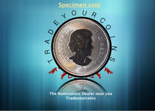 2010 Canada Five Cents Specimen Nickel Beaver