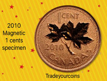 2010 Canada 1 Cent Penny Specimen Magnetic