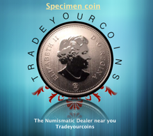 2011 Canada Five Cents Specimen Nickel Beaver