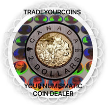 2013 Canada Specimen Twoonie, Nickel Two Dollars-Black Bear Cubs