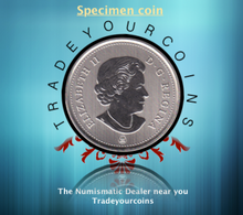 2015 Canada Five Cents Specimen Nickel Beaver