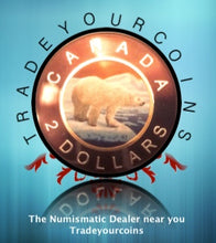 2018 Canada Fine Silver Colourised Twoonie  Proof Polar Bear - 2 Dollars