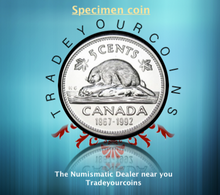 1992 Canada Five Cents Specimen Nickel Beaver