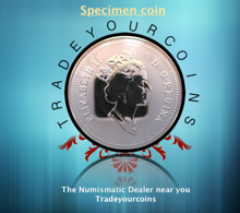 1995 Canada Five Cents Specimen Nickel Beaver