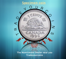 1996 Canada Five Cents Specimen Nickel Beaver