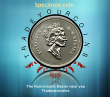 1998 Canada Five Cents Specimen Nickel Beaver