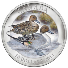 2014 Canada Fine Silver $10 Ten Dollars-Ducks of Canada-Northern Pintail