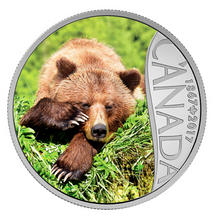 2017 $10 Celebrating Canada's 150th Coin Series: Grizzly Bear