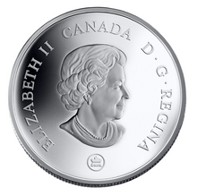 2007 Thirty Dollars, Panoramic Photography in Canada, Niagara Falls