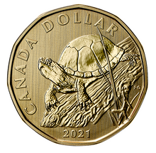 2021 Canada Specimen Loonie Blanding's Turtle