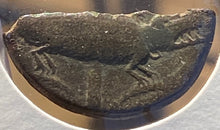 AUGUSTE / AUGUSTUS - 1/2 Dupondius de Nîmes