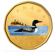 2020 Pure Silver Coloured 6-Coin Set with Medallion - Canadian Circulation Collection