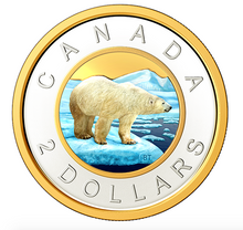 2020 Pure Silver Coloured 6-Coin Set with Medallion - Canadian Circulation Collection