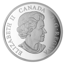 2016 1 oz. Fine Silver Coloured Coin - Snowy Owl